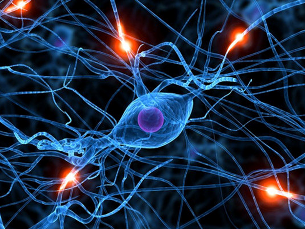 Why Does Nerve Damage Tend to Spread Upward